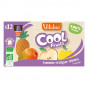 Cool Fruits - Pomme Mangue Ananas - Lot de 12 Gourdes
